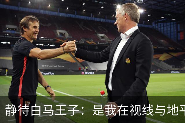 静待白马王子：是我在视线与地平线之间为你留出的可调节焦距