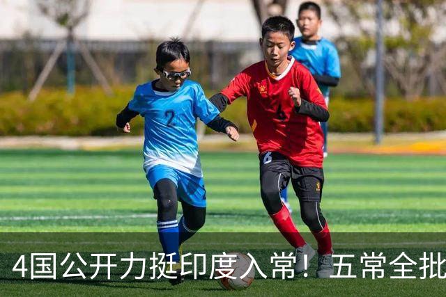 4国公开力挺印度入常！五常全批才可生效，缺中国同意根本行不通